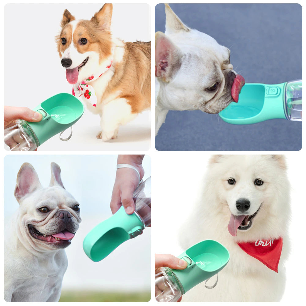 HydroPaws: Leakproof Portable Water Bottle for Dogs & Cats