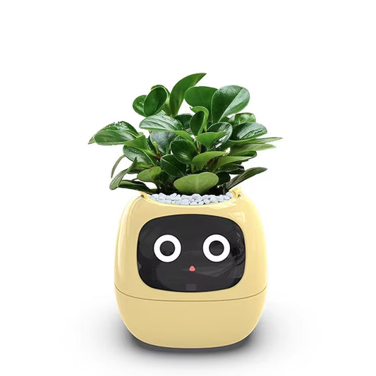 Smart Pot: The Perfect Pot for Your Tiny Plant